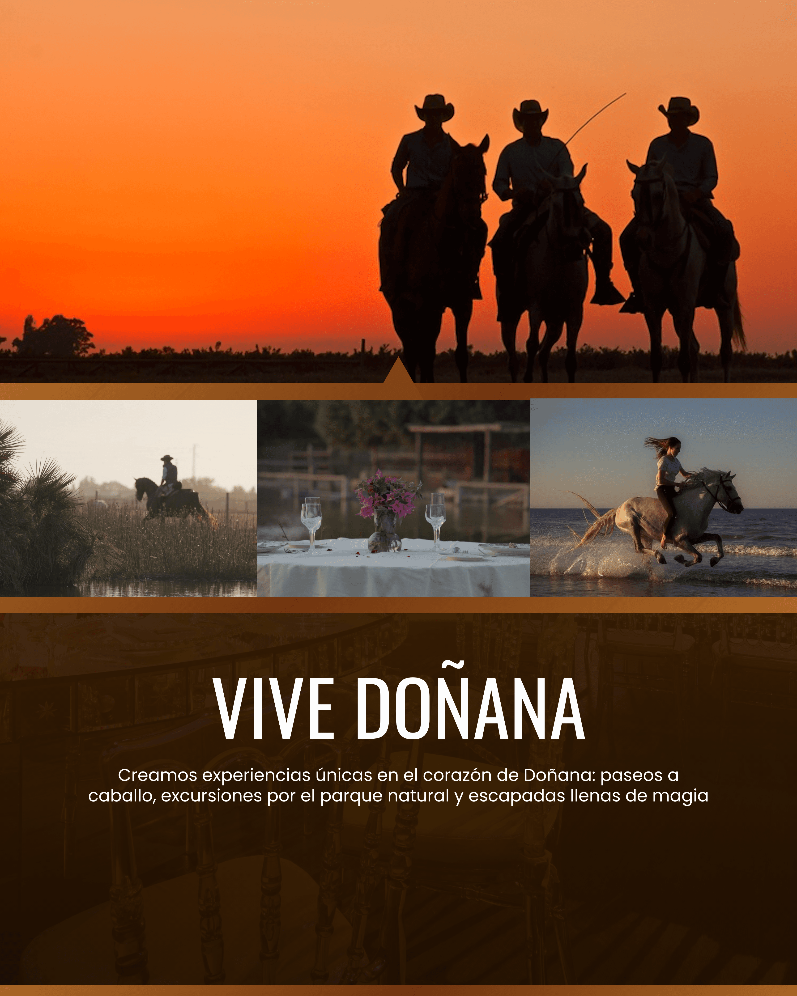 Caballos al atardecer en Doñana